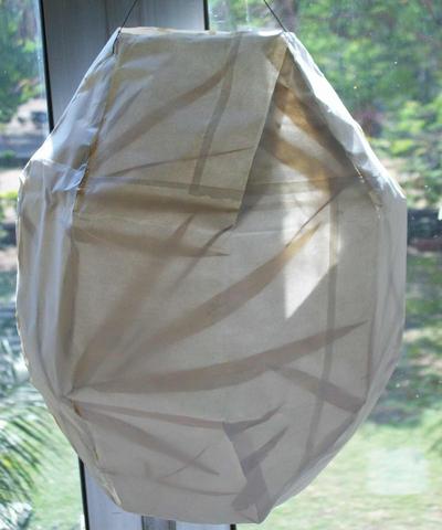 Rhombicuboctahedron made of bamboo leaf